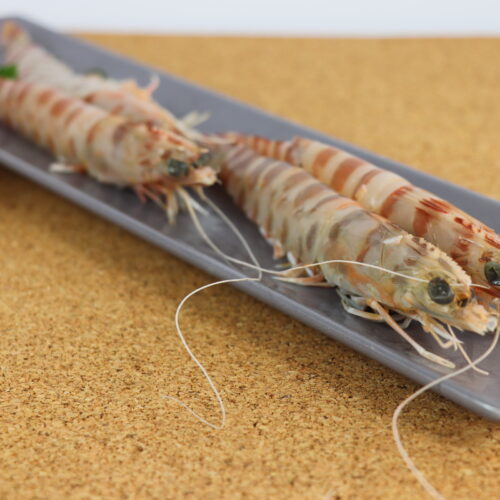 LANGOSTINO TIGRE- (1)