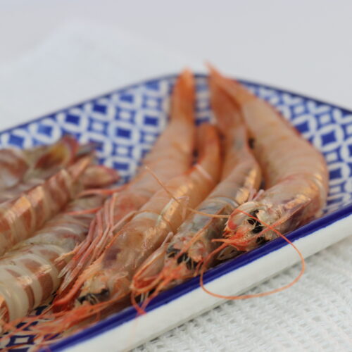 LANGOSTINO TIGRE- (13)