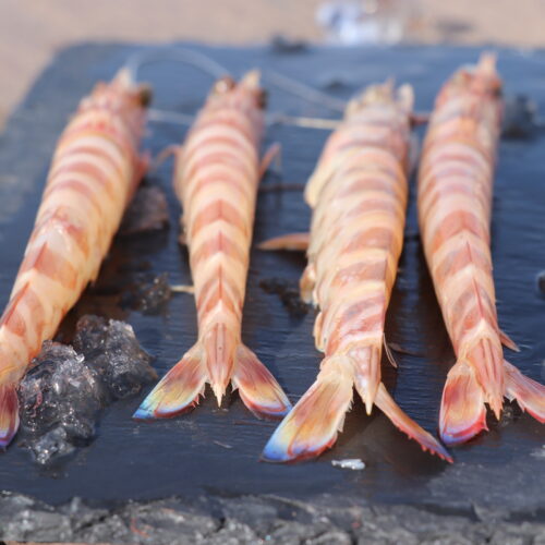 LANGOSTINO TIGRE- (21)