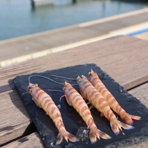 LANGOSTINO TIGRE- (23)