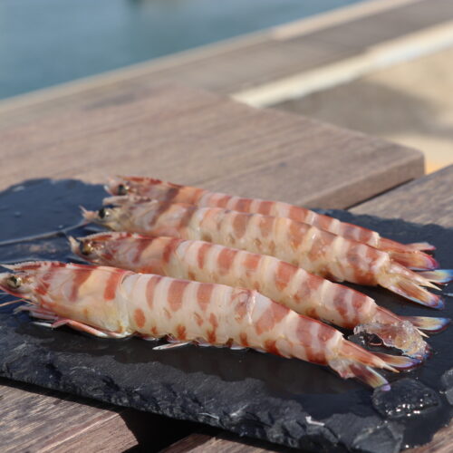 LANGOSTINO TIGRE- (25)