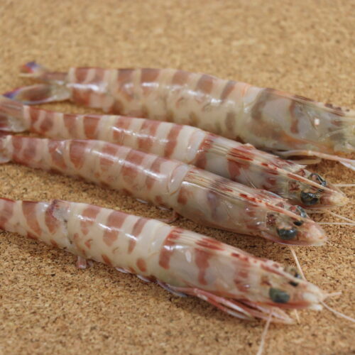 LANGOSTINO TIGRE- (4)