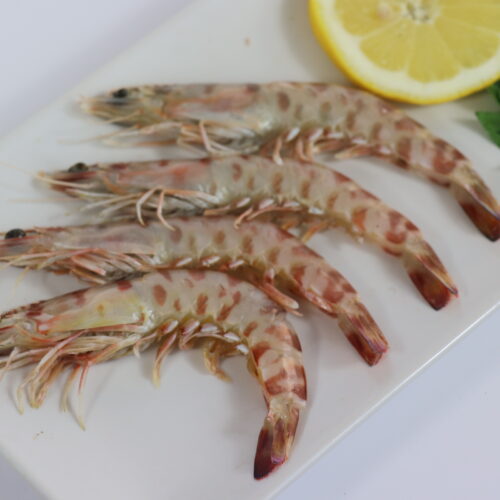 LANGOSTINO TIGRE- (7)