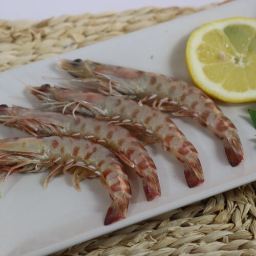 LANGOSTINO TIGRE- (8)