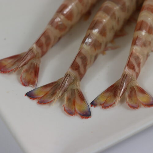 LANGOSTINO TIGRE- (9)